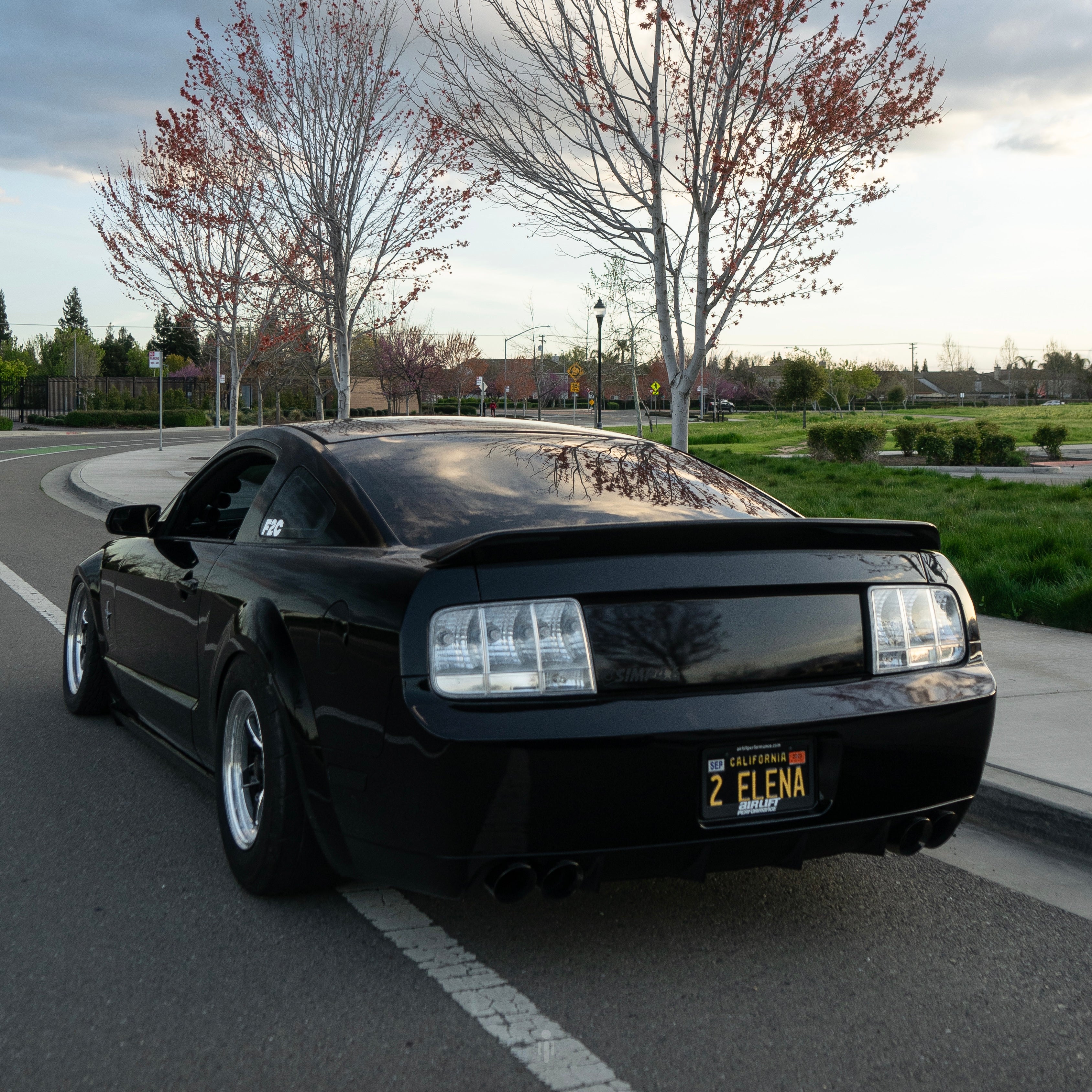 2005 mustang store tail lights